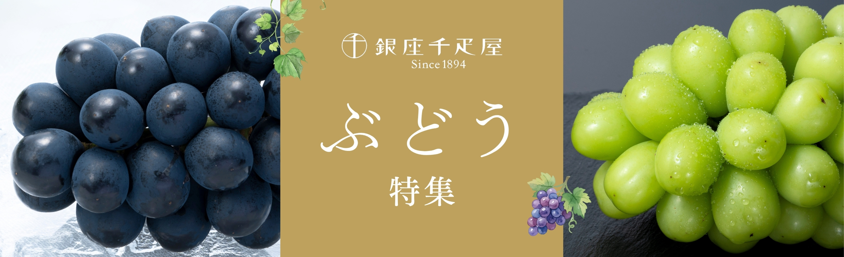ぶどう特集2026