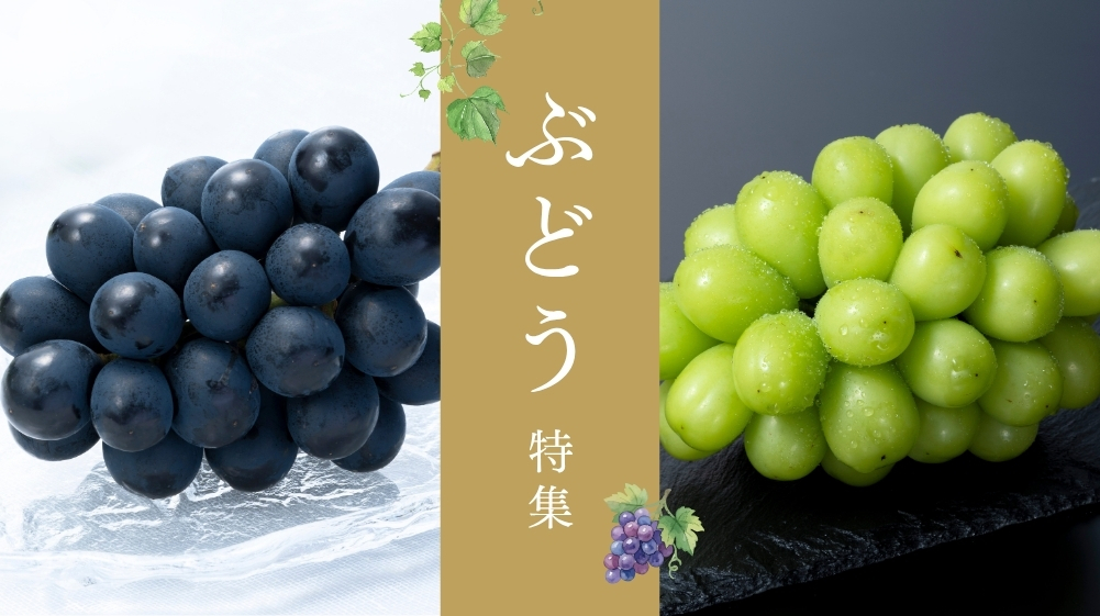 ぶどう特集