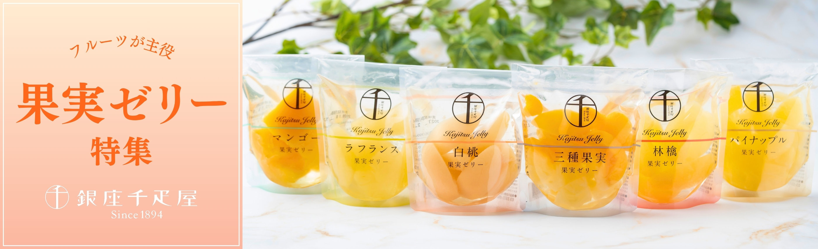 果実ゼリー特集TOP