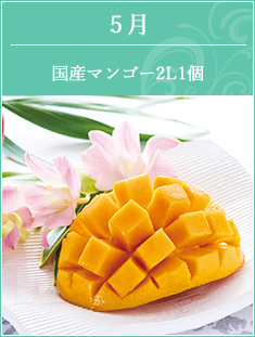 5月 宮崎県産マンゴ1個