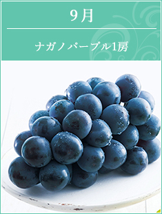 9月 千葉県産かおり梨2個