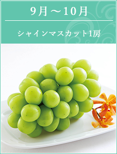 9-10月 シャインマスカット