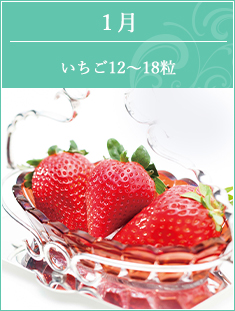 1月 いちご(12~18粒)