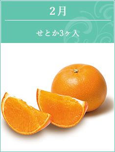 2月 せとか3ヶ入