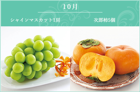 10月 シャイン・次郎柿5ヶ入り