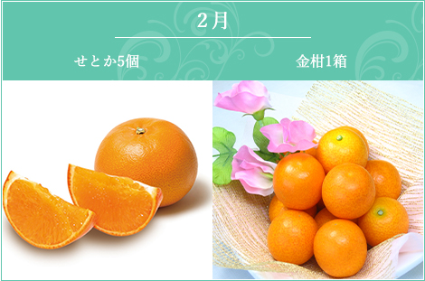 2月 せとか5ヶ入・金柑1箱