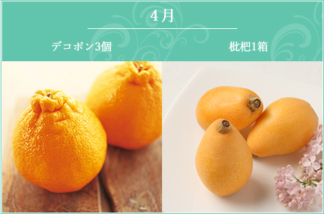 4月 デコポン3ヶ入・枇杷1箱