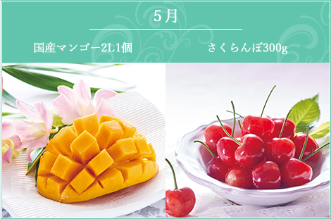 5月 国産マンゴー2L・さくらんぼ