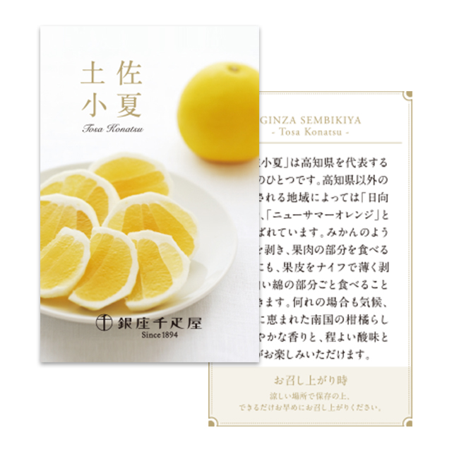 果物リーフレット_土佐小夏