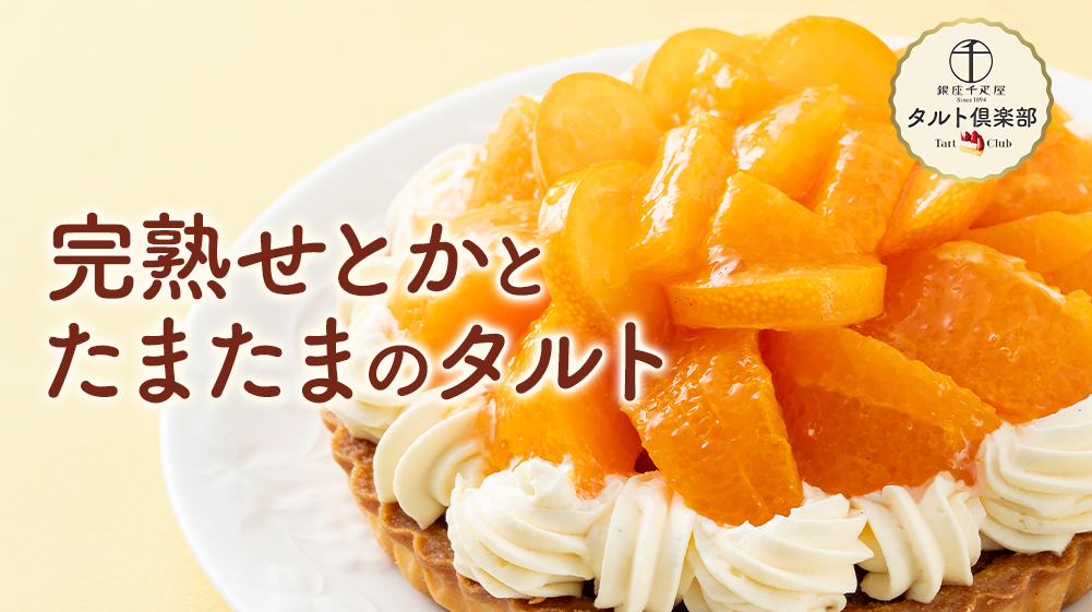 完熟せとかとたまたまのタルト