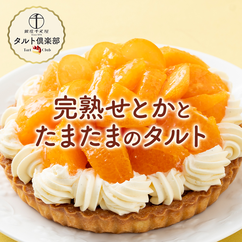 完熟せとかとたまたまのタルト