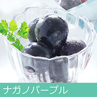 ナガノパープル