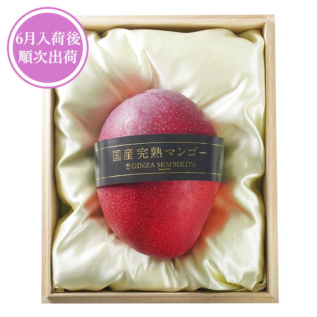 国産完熟マンゴー1個入 2L（桐箱）No16 | 銀座千疋屋オンライン