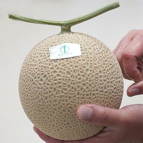 マスクメロン(化粧箱）2個入（約1.3kg～） No27 | 銀座千疋屋