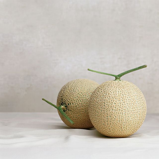 千疋屋　マスクメロン マスクメロン(化粧箱）1個入（約1.3kg） No25 | 銀座千疋屋オンライン