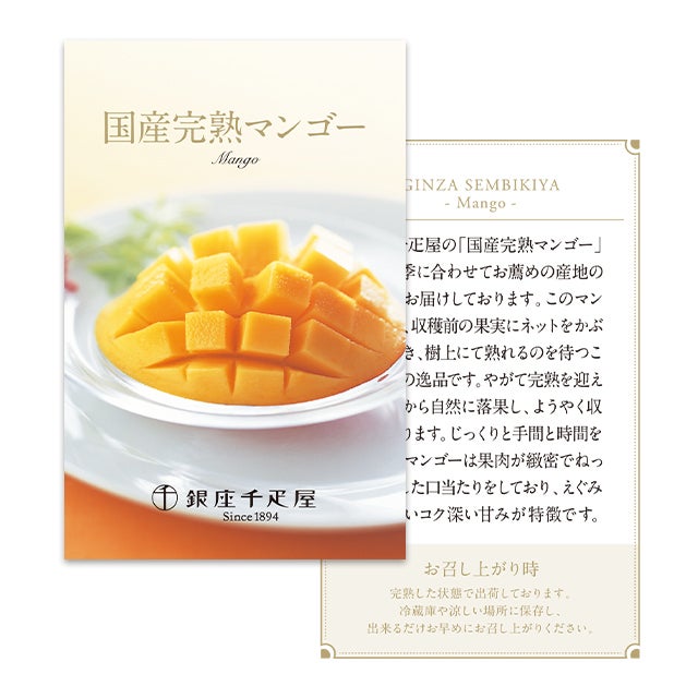贈答用のマンゴーの受付をしています！ 完熟 マンゴー Mサイズ2玉 （約480g以上） 秀品 母の日 父の日 宮崎県