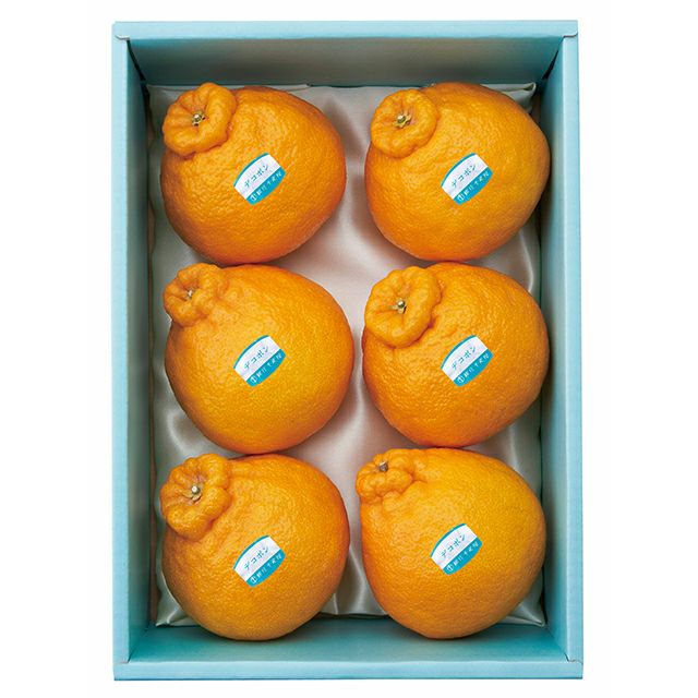 デコポン6個入 No18 | 銀座千疋屋オンラインショップ 1894年創業の