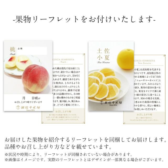 果物詰合せ | 銀座千疋屋オンラインショップ 1894年創業の老舗果物専門