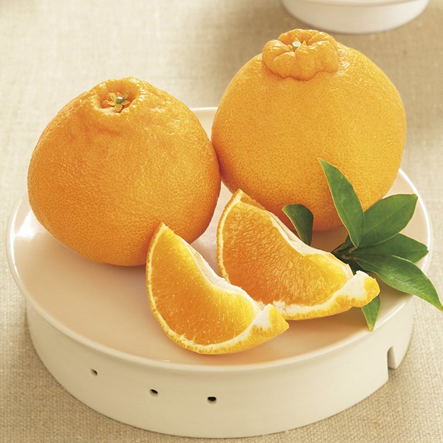 感謝の気持ち(7,000円) | 銀座千疋屋オンラインショップ 1894年創業の