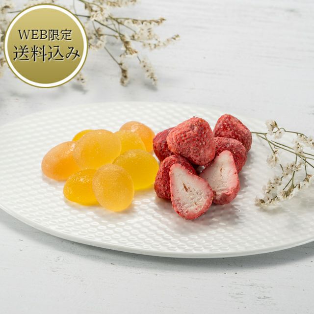 冬季限定】いちごショコラ&フルーツゼリー | 銀座千疋屋オンライン