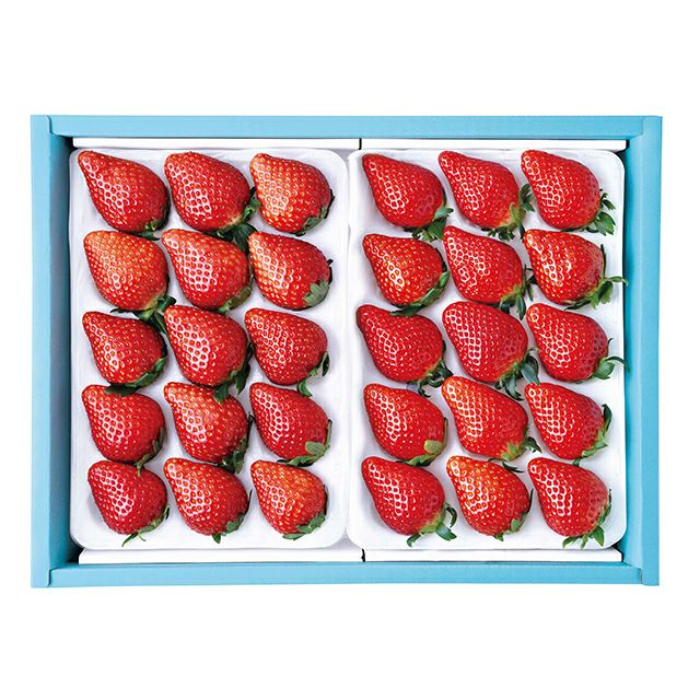 銀座千疋屋 特選 苺（24～36個入）No3 | 銀座千疋屋オンラインショップ