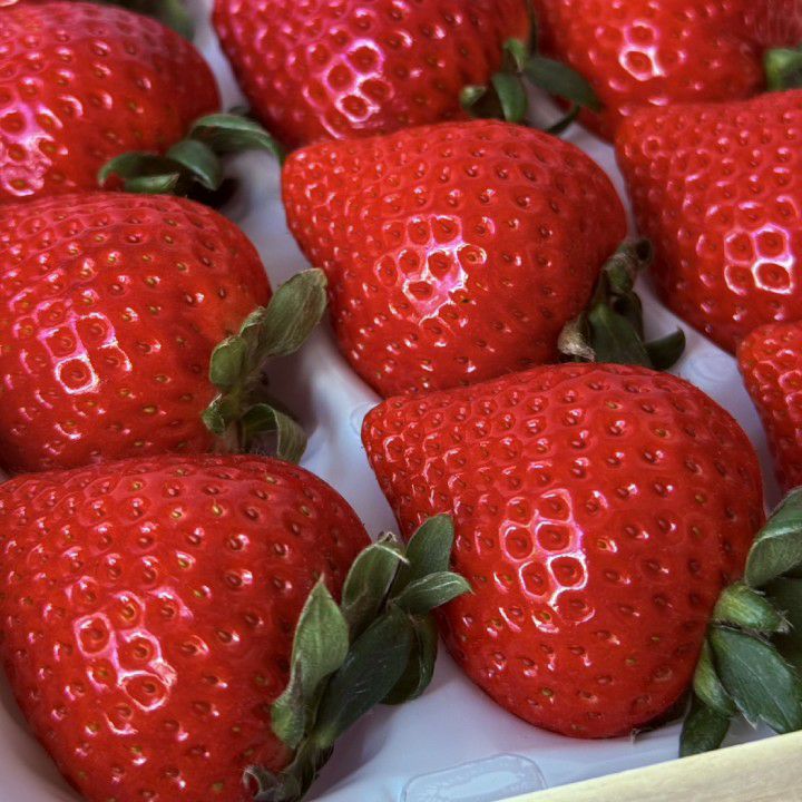 銀座千疋屋 特選 苺（24～36個入）No3 | 銀座千疋屋オンラインショップ